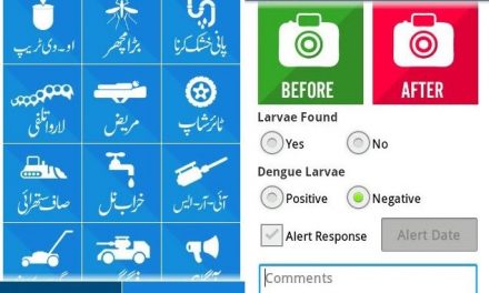 Pakistan making great strides in E-Governance