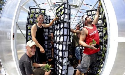 Food Ladder oasis for Afghan women