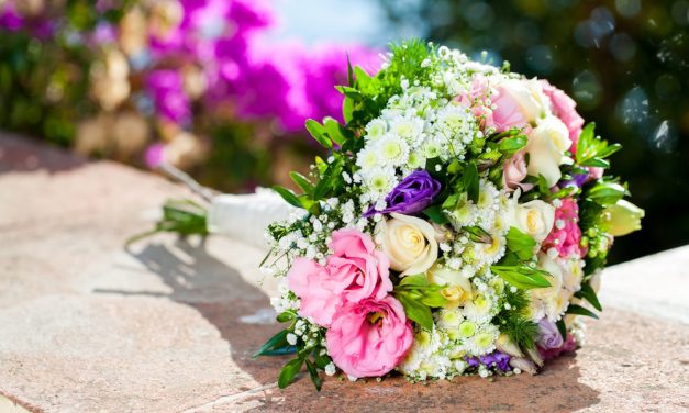 All about the bees (and love!)