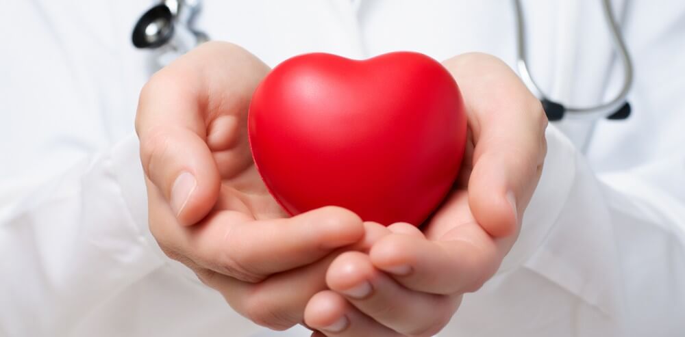 Thank You Day for Organ Donations
