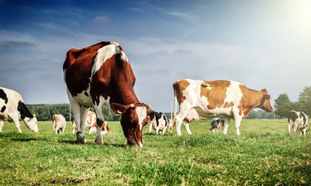 Foreign investment in agricultural land