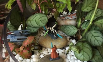 DIY Star Wars Terrarium