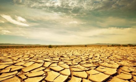 Climate change policy: politics or a matter of faith?