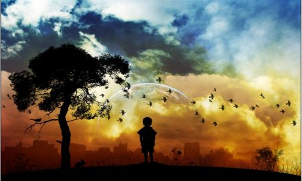 As the boy continued to look at the magnolia tree