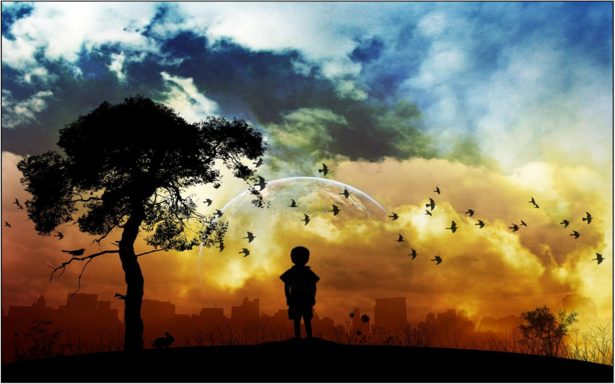 As the boy continued to look at the magnolia tree