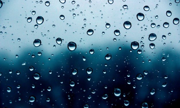 A thirst for a rain drop