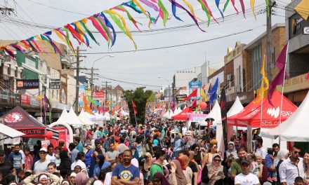 Lakemba comes alive with Haldon St festival