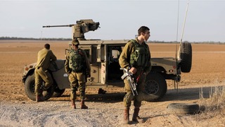 Seven Palestinians killed in Gaza