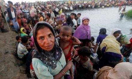 Chris Hayes raises plight of Rohingya in Parliament