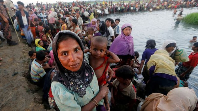 Chris Hayes raises plight of Rohingya in Parliament