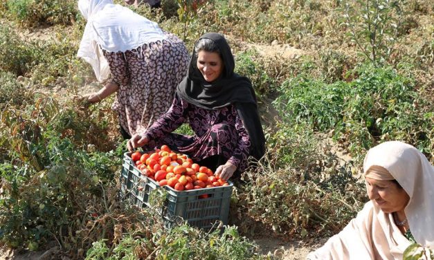 From dependency to self-sufficiency: A change of perceptions