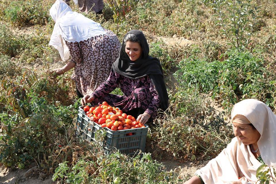 From dependency to self-sufficiency: A change of perceptions