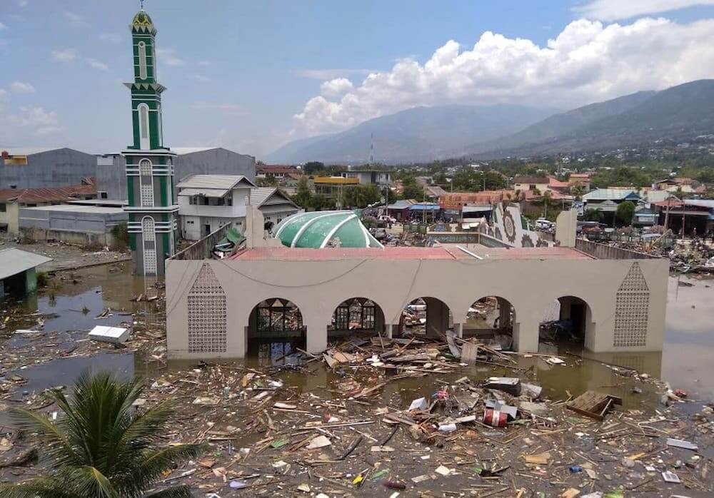 Urgent help needed for earthquake/tsunami victims