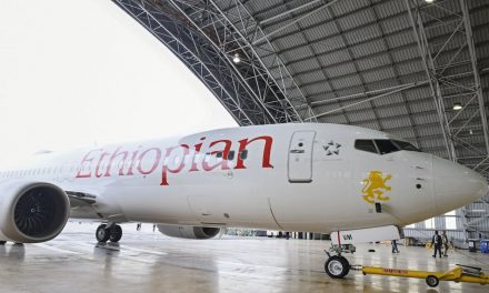 Software glitch blamed for Ethiopian airline disaster