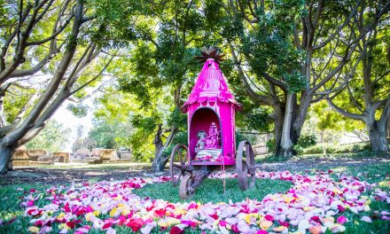 Rookwood Cemetery recognised for art and culture