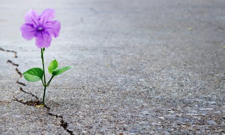 A Hope