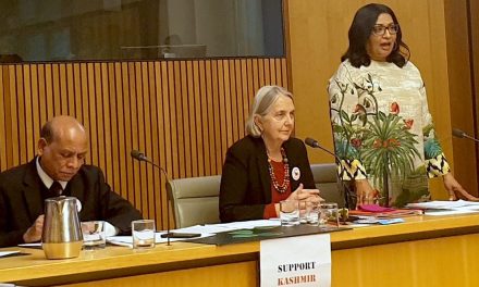 Senator Mehreen Faruqi calls for self-determination of Kashmiri people