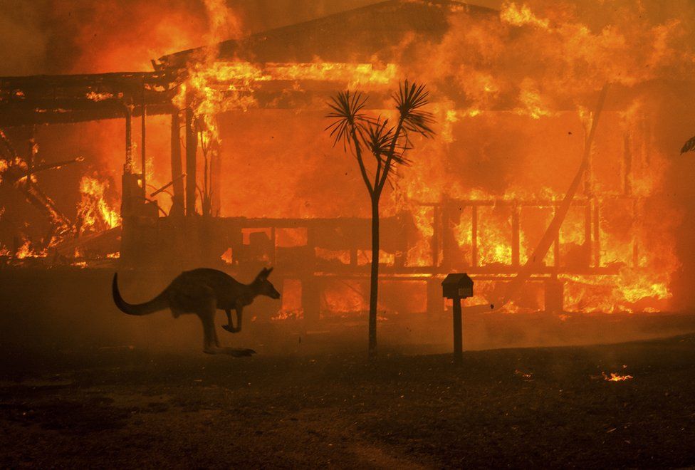 Australia burns amid drought, heat and bushfires