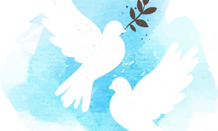 Terrorist Despair vs Optimistic Faith
