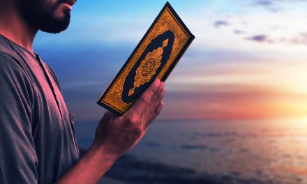 Seeker as the characteristic of a believer