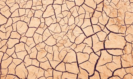 Australia reaches The Age of Crises