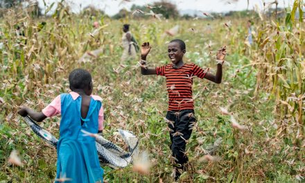 The Signs! A message for people to return to the right path