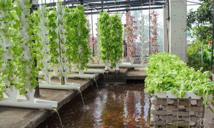 Feeding people with Permaculture under lockdown