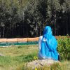 Rania Ahmed