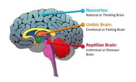 Psychology of depression and Islam