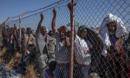 A call for peace amid current conflict in Ethiopia
