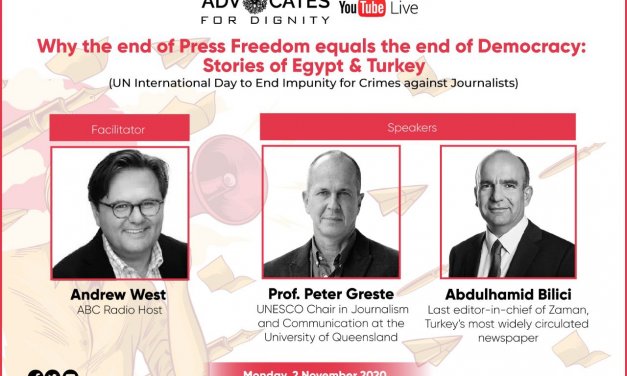 Webinar on press freedom and democracy in Egypt and Turkey