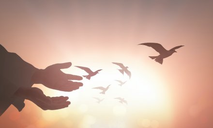 Reflections on Islamic concepts of purification
