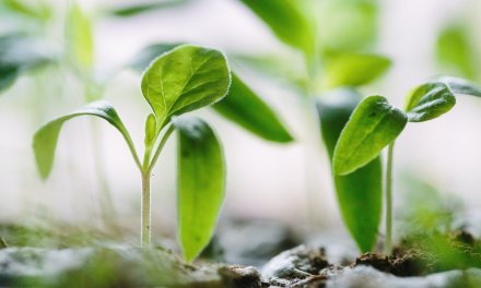 Rethink your zakat – beyond charity
