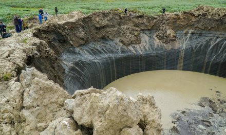 Making a concerted effort to care for the Earth