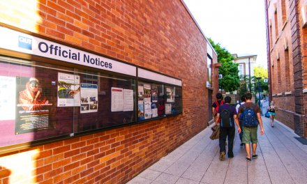 Are international students back? A look at the numbers