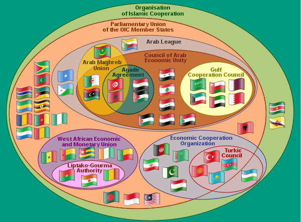 OIC failure: No end to oppression of Muslims in Palestine