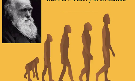 The theory of evolution, as challenged by the geneticists