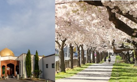 Winter, spring and resurrection
