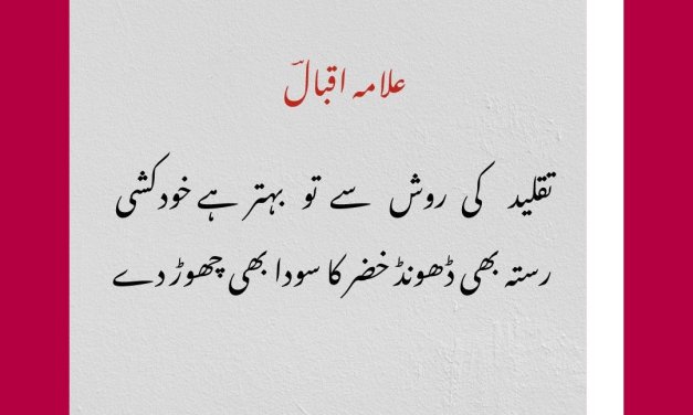 Pakistanis ignoring Iqbal’s universal advice