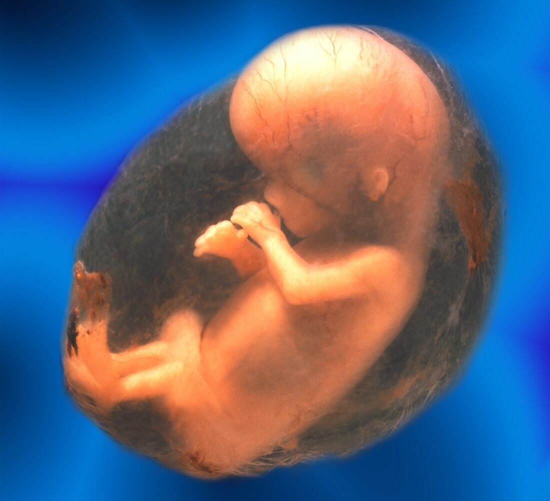 Modern human embryology and the Qur’an