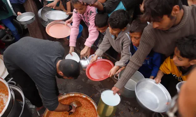 Gaza conflict: Snapshot of a population being starved into submission