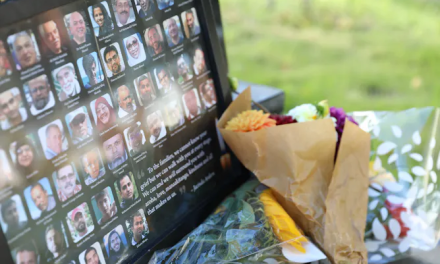 Christchurch attacks 5 years on: terrorist’s online history gives clues to preventing future atrocities