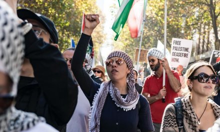 Volunteering activism in support of Palestine