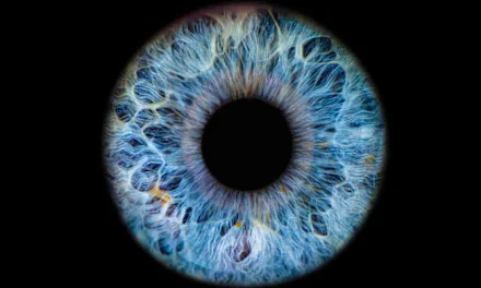 Friday essay: ‘an engineering and biological miracle’ – how I fell for the science, and the poetry, of the eye