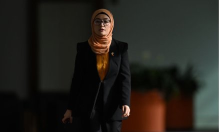Australian leadership to end the war on Gaza: open letter to the Prime Minister