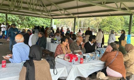 SAMAA’s annual picnic for seniors