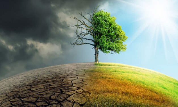 A climate crisis crossroads: 2024 and the fight for Earth’s future