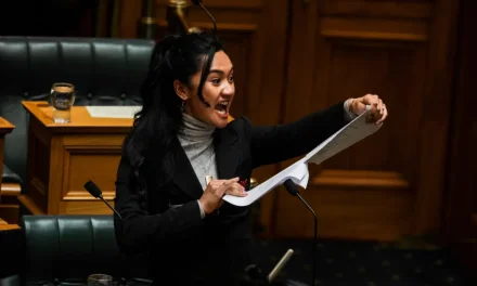 The landscape of New Zealand Politics: A call for unity and cultural respect