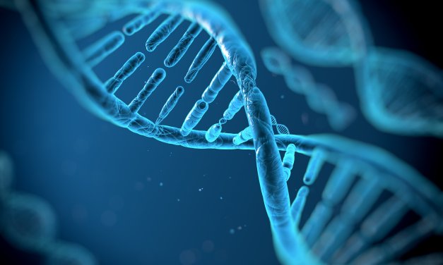 Science and the Quran: Pairs and non-pairs in the creation