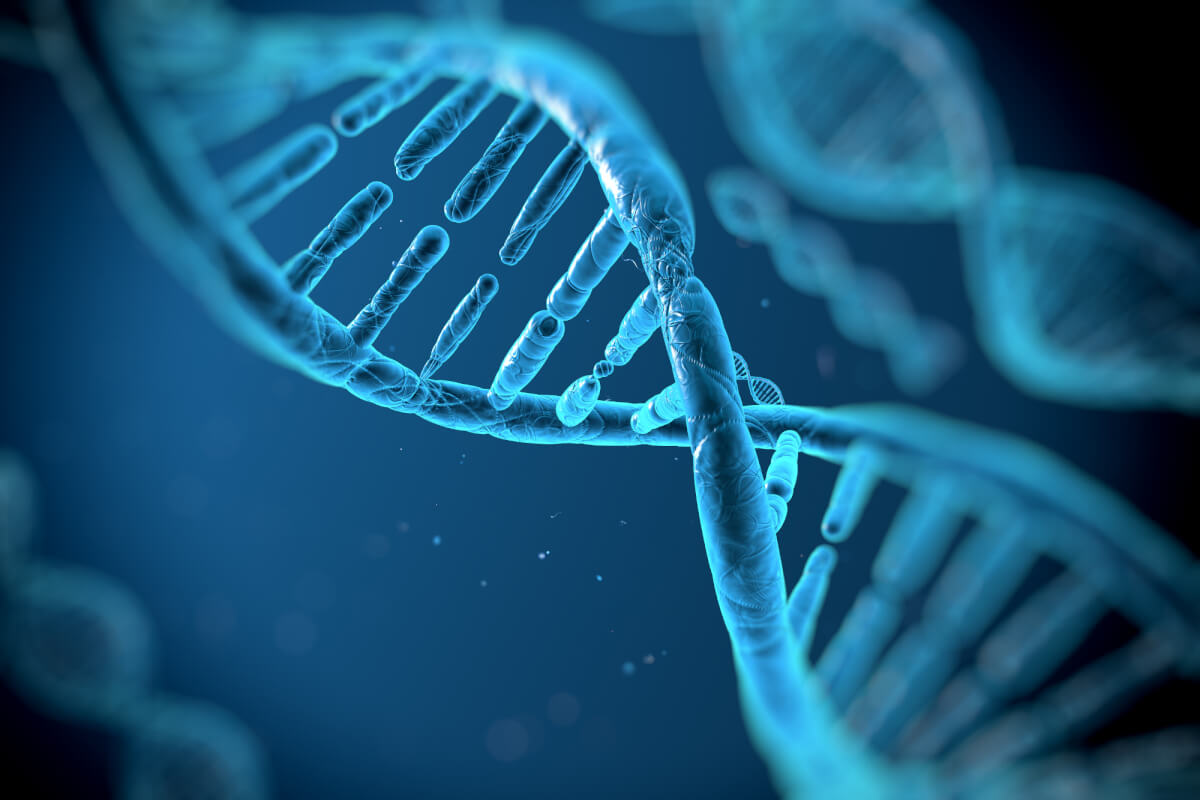 Science and the Quran: Pairs and non-pairs in the creation